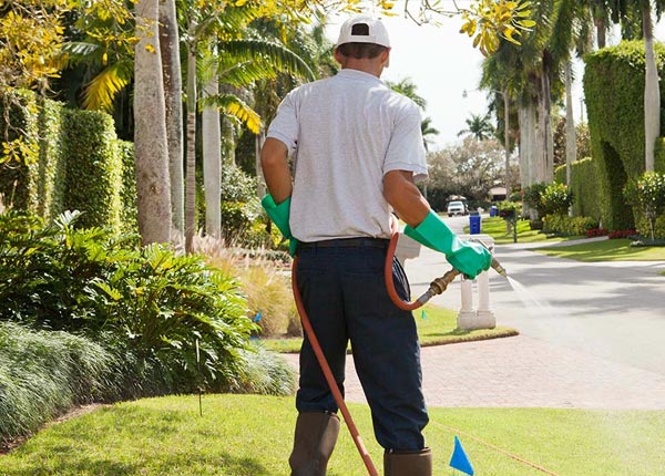 About Boiceville NY Pest Control